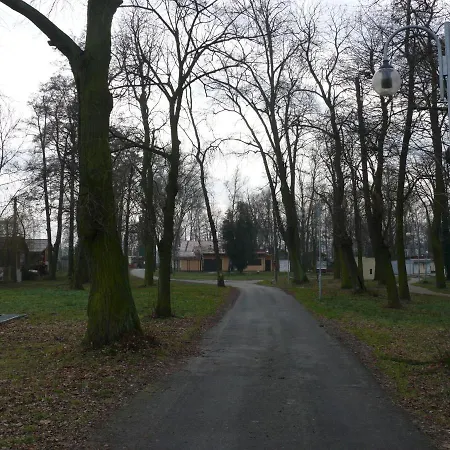 Orman Evi Nad Jeziorem *