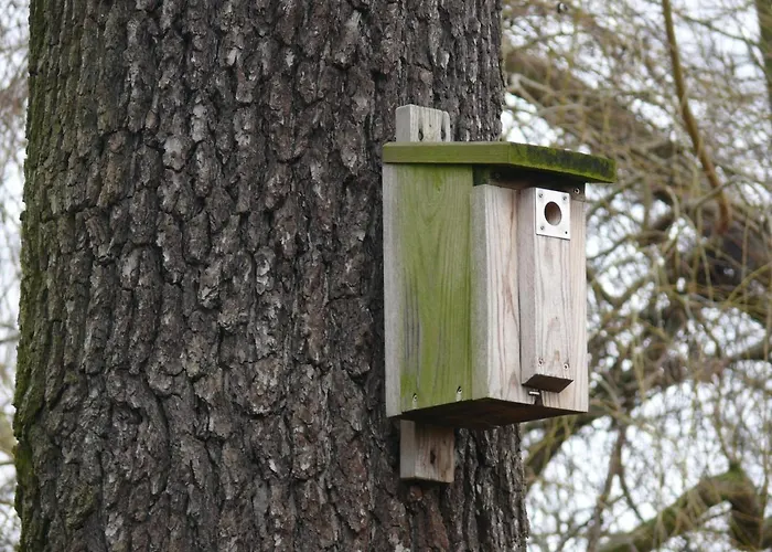 Деревянный коттедж Nad Jeziorem Осечна