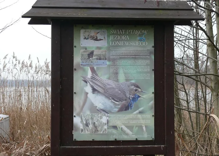Nad Jeziorem Osieczna